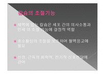 [영양학] 무기질(Mineral)-칼슘과 골다공증-14