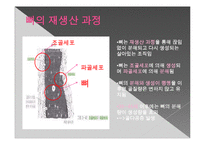 [영양학] 무기질(Mineral)-칼슘과 골다공증-17
