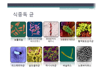 [식품위생학] 세균성 식중독의 이해-8