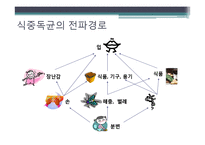 [식품위생학] 세균성 식중독의 이해-9