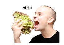 [식품영양학] 식품첨가물에 대하여-2