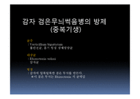 [응용균학] 균류를 이용한 식물병 및 해충 방제-14
