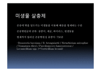 [응용균학] 균류를 이용한 식물병 및 해충 방제-17