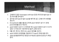 [유전학] Drosphila를 이용한 상염색체 유전 양상 관찰 결과-8