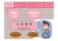 [간호학] 기능성 소화불량 진단 및 간호중재-3