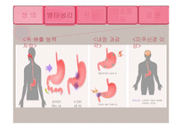 [간호학] 기능성 소화불량 진단 및 간호중재-6
