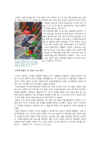 [유아교육] 유아성폭력 안전관리(예방)을 위한 아동 성교육-6