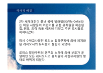 [유아교육] 레지오 에밀리아의 이해와 한국형 적용 사례-3