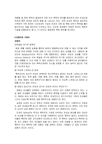 가정폭력이론 레포트-11