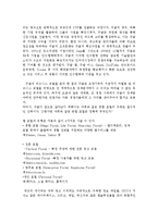 Google 구글 기업분석및 성공사례분석-14