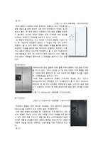 삼성지펠 zipel 미국진출위한 마케팅전략분석-11
