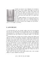 삼성지펠 zipel 미국진출위한 마케팅전략분석-12