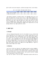 삼성지펠 zipel 미국진출위한 마케팅전략분석-14