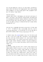 삼성전자의 스포츠마케팅 사례(첼시스폰서)분석과 성과및 나의의견-3