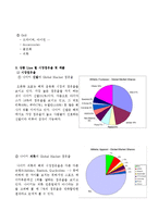 나이키 NIKE 브랜드분석및 경영분석-6