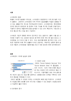 SNS,스마트폰이 개인,사회,정치적인 영향력(긍정적,부정적영향)과 앞으로의 대응방안및 나의의견-3