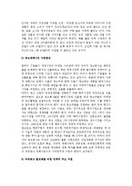 [국제광고] 국제광고전략과 국제광고 문제점 및 활성화 방향, 국제광고의 미래-11