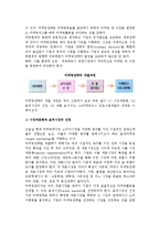 마케팅계획의 의의(개념, 특성)와 마케팅 계획 수립과정-9