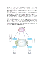 마케팅계획의 의의(개념, 특성)와 마케팅 계획 수립과정-11
