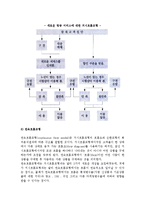 [관광시험시장] 관광시험시장 실시이유와 여부 및 접근방법, 관광시험시장 마케팅모형-14