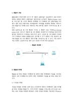 [외환시장과 환율] 외국환과 외환시장의 개념과 종류, 환율과 환율결정이론 및 환율제도-6