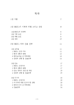 변모하는 BRICs 레포트-2