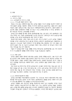 브라질 진출 보고서-2