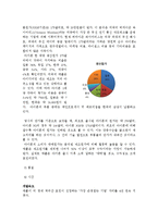 애플 아이폰 한국시장공략 성공요인 및 삼성 갤럭시s와 비교분석-4