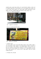[마케팅] 인삼을 이용한 식품 개발 및 마케팅 전략-20