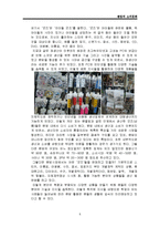 [소비자행동론] 팬덤과 소비문화-6