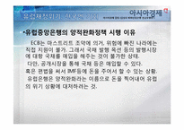 [외환론] 외환위기-유럽재정위기가 한국에 미치는 영향-15