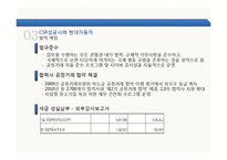 [국제경영] 현대자동차 글로벌 CSR 성공사례-8
