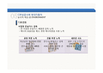 [국제경영] 현대자동차 글로벌 CSR 성공사례-10