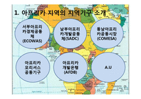 [국제기구론] 중동 및 아프리카 지역기구의 현상과 주요 현안-5