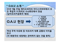 [국제기구론] 중동 및 아프리카 지역기구의 현상과 주요 현안-10