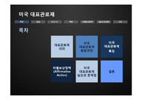 [인사행정론] 미국 대표관료제의 실상과 문제점-2