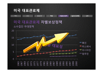 [인사행정론] 미국 대표관료제의 실상과 문제점-18