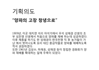 [축제기획론] 창녕 양파축제 기획안-3
