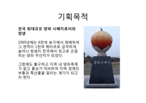 [축제기획론] 창녕 양파축제 기획안-5
