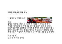 [축제기획론] 창녕 양파축제 기획안-11