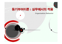 [조직행동론] 동기부여 이론의 실무에의 적용 사례-1