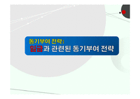[조직행동론] 동기부여 이론의 실무에의 적용 사례-16