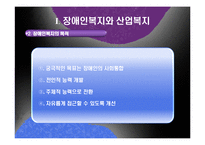 [산업복지] 장애인 산업복지-기업의 장애인 고용과 복지-4