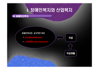 [산업복지] 장애인 산업복지-기업의 장애인 고용과 복지-6