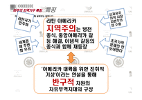 [국제기구론] 미주지역기구의 현상과 주요현안-8