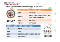 [국제기구론] 미주지역기구의 현상과 주요현안-11