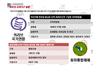 [국제기구론] 미주지역기구의 현상과 주요현안-13