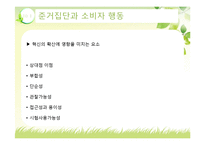 [소비자행동론] 관광 소비자행동의 환경적 요인-준거집단-9