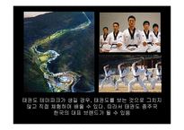 [소비자행동론] 문화를 소재로 한 관광 상품 마케팅 전략-3