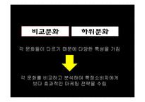 [소비자행동론] 문화를 소재로 한 관광 상품 마케팅 전략-5